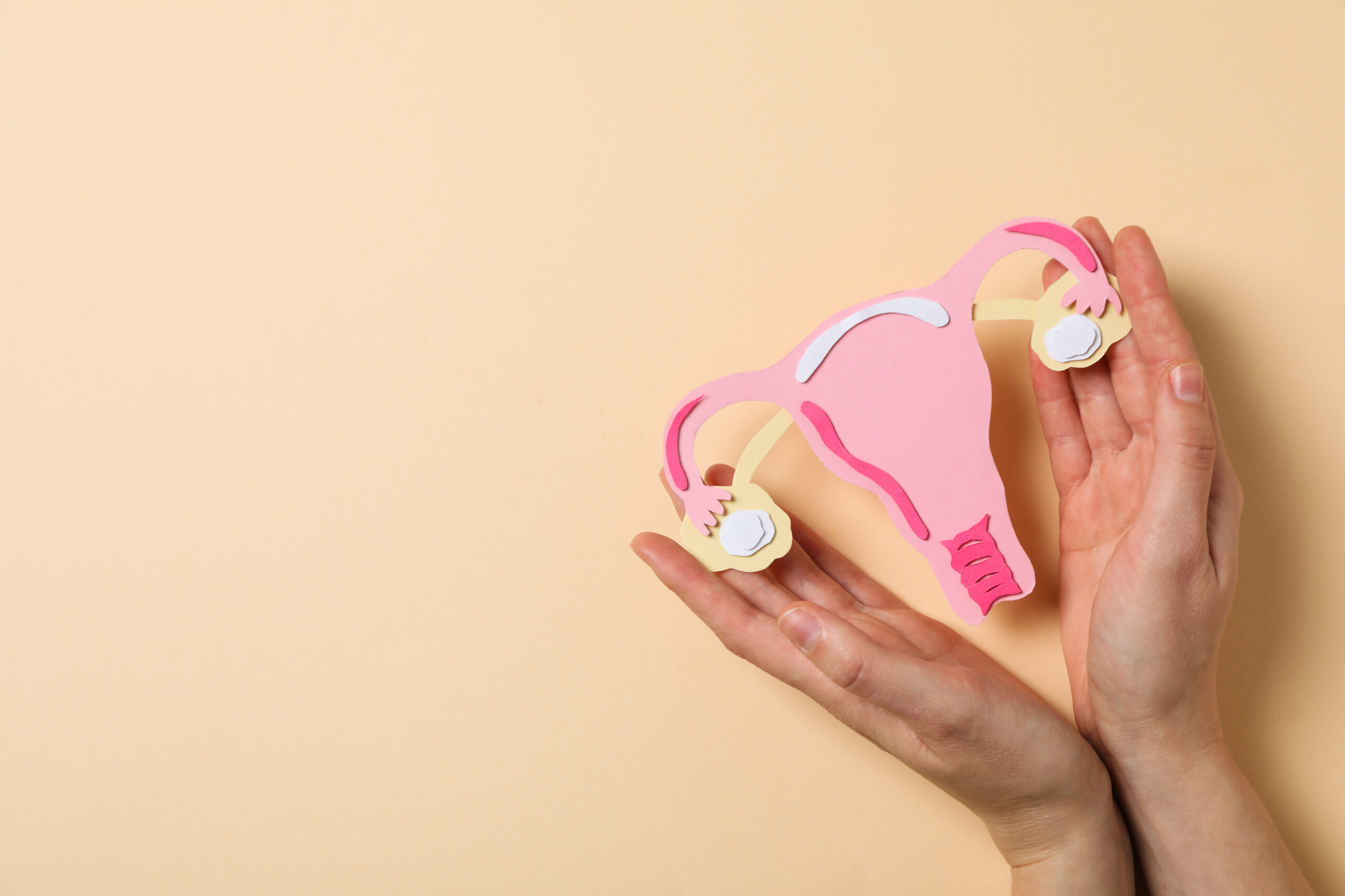 Women’s health and women’s healthcare concept with uterus